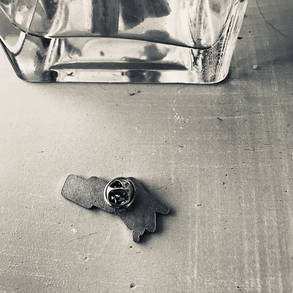 PIN - Picture 5 of 8